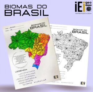 Por que é importante ensinar os biomas brasileiros nas escolas?