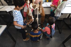 Você sabe como a evolução humana é ensinada nas escolas? Entenda com essas atividades